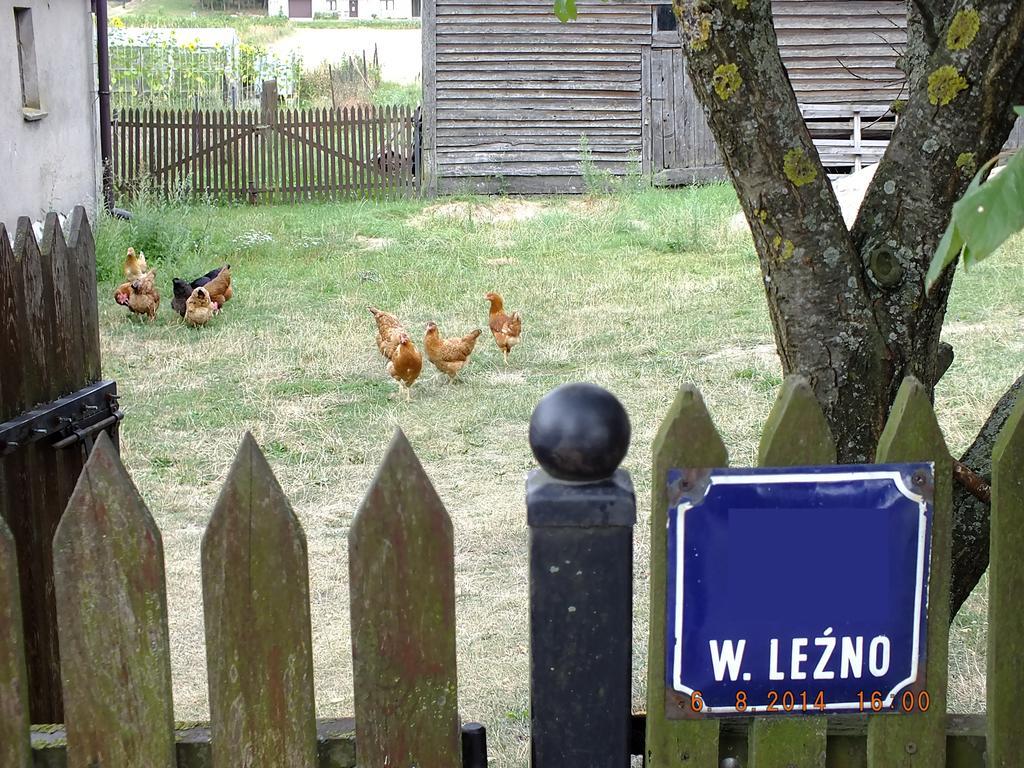 Agroturystyka Wielkie Lezno Eksteriør bilde